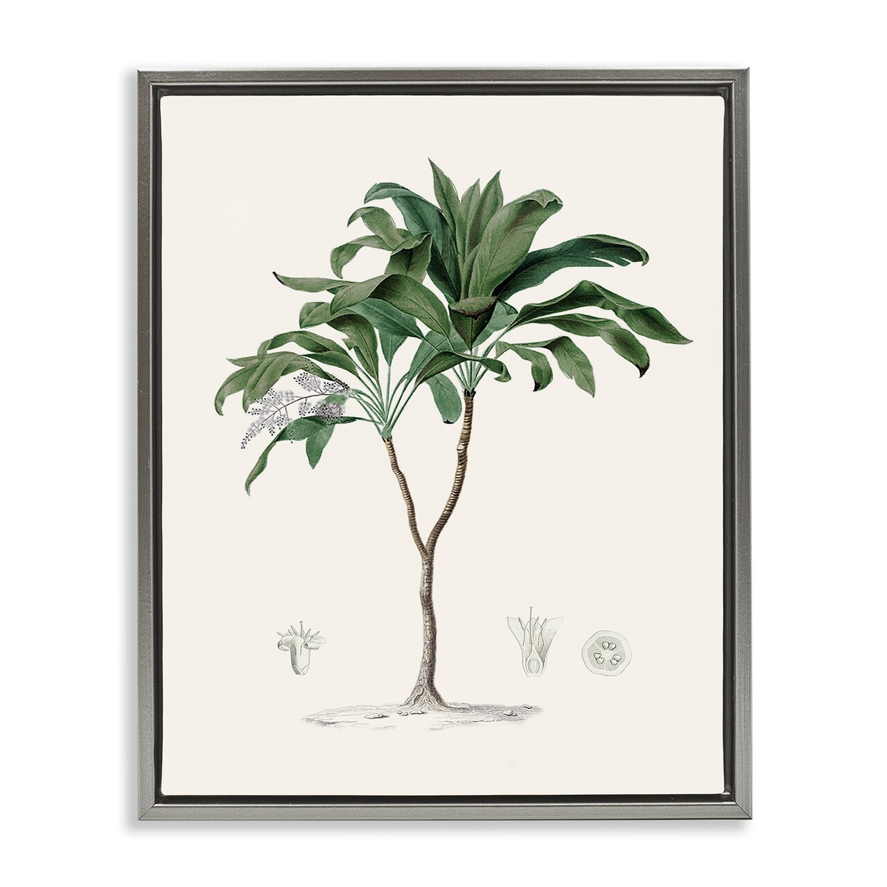 Stupell Industries Coastal Palms Vintage Floating Frame, design by Val Rhodes